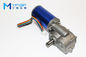 Brushless DC Automatic Door Motor Small Size With Installation Bracket